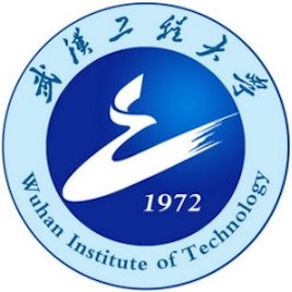 Wuhan Institute of Technology